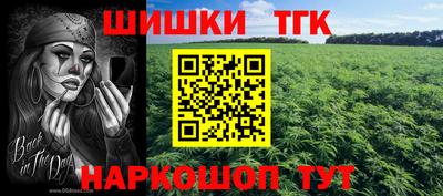 ALPHA PVP Гатчина
