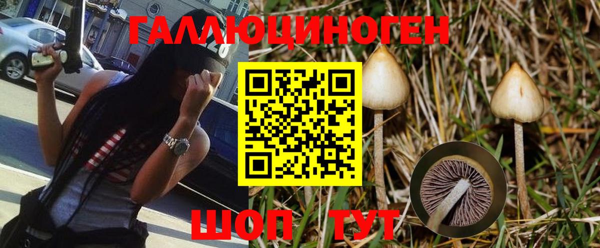 Галлюциногенные грибы Cubensis  Вход с VPN  Менделеевск 